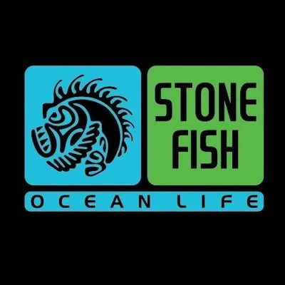 Stonefish Studio